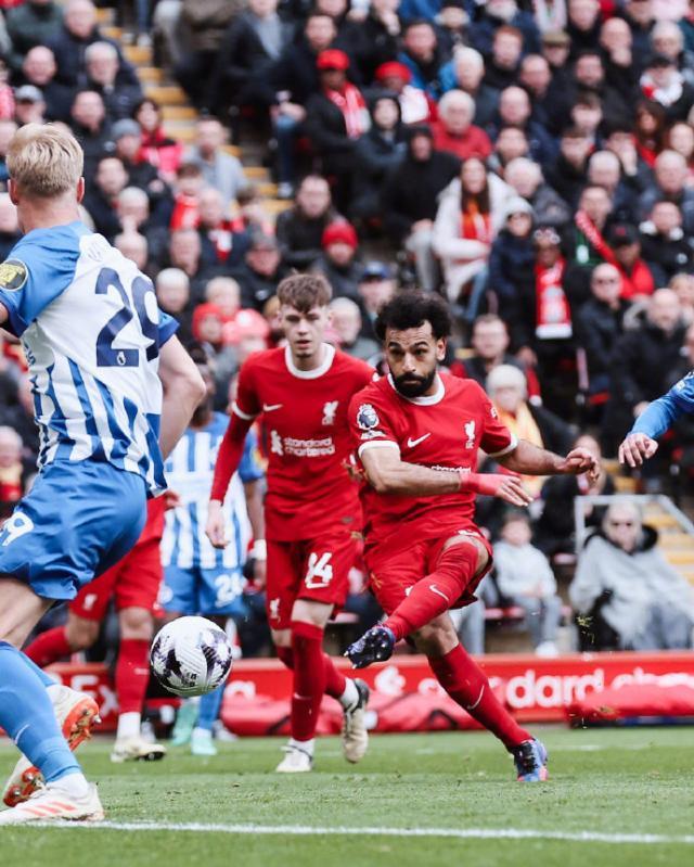 1711896533268076260.jpg 1711896523037.jpg